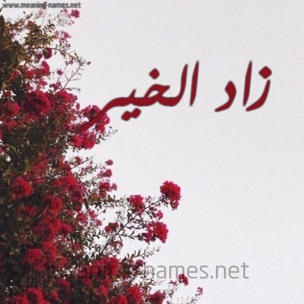 شكل 18 صوره الورد الأحمر للإسم بخط رقعة صورة اسم زاد الخير ZAD-EL-KHIR